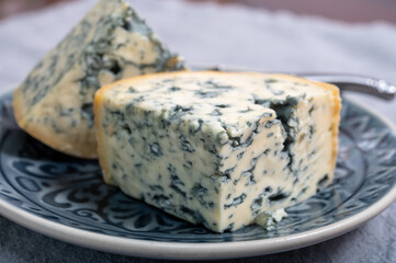 Cheese collection, piece of French blue cheese auvergne or fourme d'ambert close up
