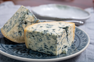 Cheese collection, piece of French blue cheese auvergne or fourme d'ambert close up