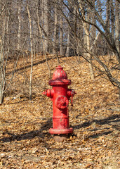 Fototapeta na wymiar Old fire hydrant in Arsenal Park, Watertown, USA