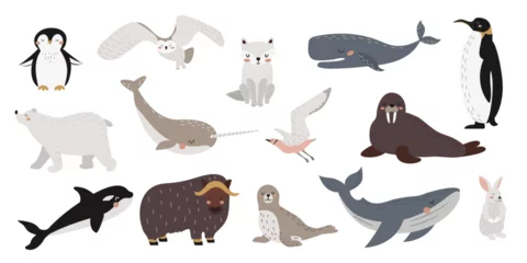 Fotobehang Uiltjes Vector set of wild polar animals, marine mammals and birds. Collection of cute Arctic animals. Whale, narwhal, walrus, polar owl, polar bear, penguins. Vector illustration in flat style.