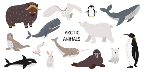 Set of cute polar animals, marine mammals and birds. A collection of wild Arctic animals. Whale, narwhal, walrus, polar owl, polar bear, penguins. Vector illustration in flat style. White background. 