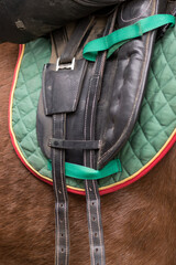 How to use horse saddle, harness and strap accessories. No people closeup detail in paddock