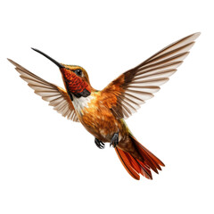 Obraz premium a Allen's Hummingbird Selasphorus sasin in flight, iridescent feathers a copper flash in a Nature-themed, photorealistic illustration in a PNG, cutout, and isolated. Generative AI