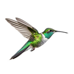 Fototapeta premium an Emerald-chinned hummingbird (Abeillia abeillei) in-flight, wings spread, a side view in a Nature-themed, photorealistic illustration in a transparent PNG, cutout, and isolated. Generative AI