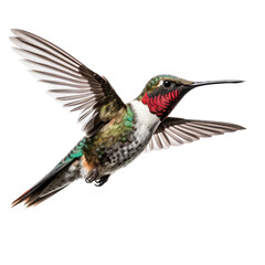 Obraz premium a Ruby-throated hummingbird in-flight, side view in a PNG, Nature-themed, isolated, and transparent photorealistic illustration. Generative ai
