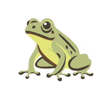 Frog , vector drawing, low points