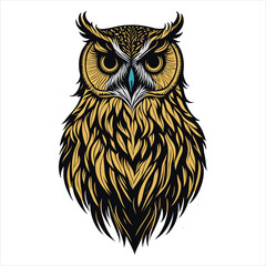 owl on white background