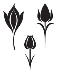 Tulip Flower silhouette black and white logo vector