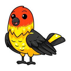 Cute western tanager bird cartoon