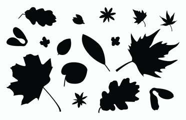 Silhouette leaves set autumn on white background isolated, vector
