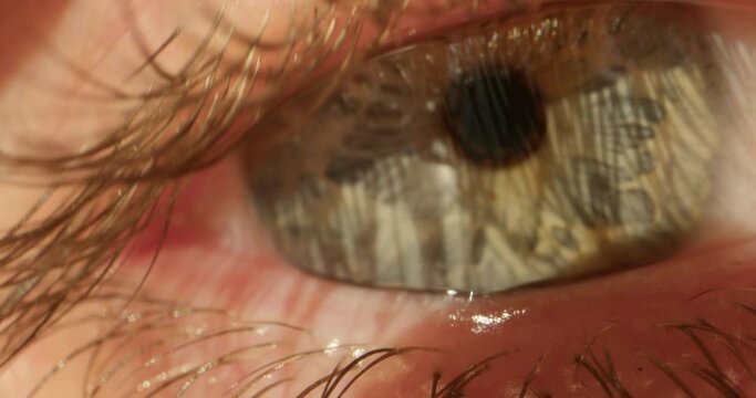 Close up of woman girl eye with long eyelashes, Beautiful green Eye of Young Woman Opening Up And Closing.