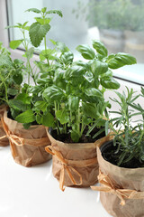 Different fresh potted herbs on windowsill indoors, closeup © New Africa