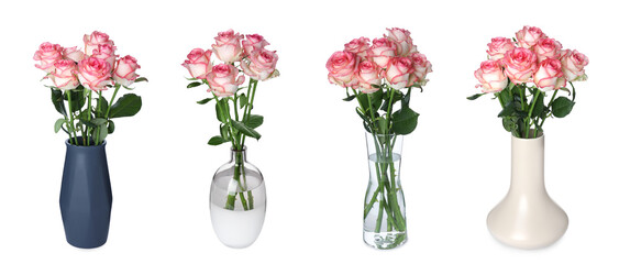 Collage of stylish vases with beautiful rose bouquets on white background