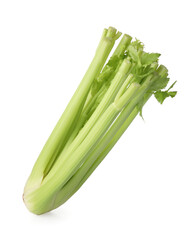 Fresh ripe green celery isolated on white