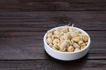 Sprouted kidney beans in bowl on dark wooden table, closeup. Space for text