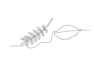 Two fallen leaves. Autumn one-line drawing