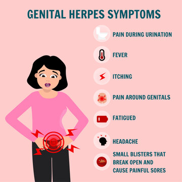 Woman's genital herpes symptoms gynecology disease in vector illustration 