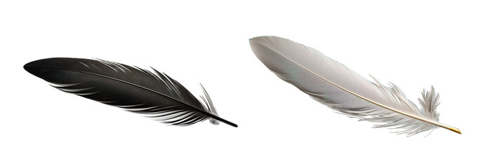 Black feather and white feather over isolated transparent background