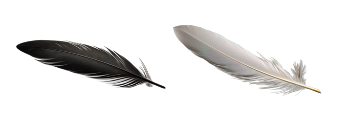 Black feather and white feather over isolated transparent background