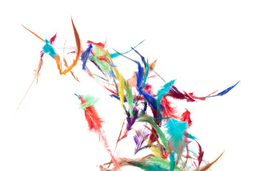 Many color Feather fly fall beautiful spiral pattern in air over black background isolated. Puffy Fluffy soft feathers like dream floating dove in sky. Colorful feathers are so light and delicate