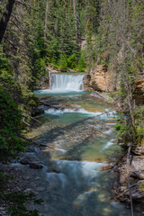 Fototapeta premium Summer time scenes in Banff National Park with Johnston Canyon in view. Nature, beautiful tourism view. 