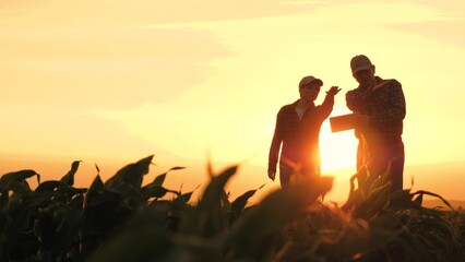 silhouette two farmers work tablet sunset, farming teamwork group people contract handshake agreement sunset corn wheat, going happy walking farmers successful contract background information ground - obrazy, fototapety, plakaty