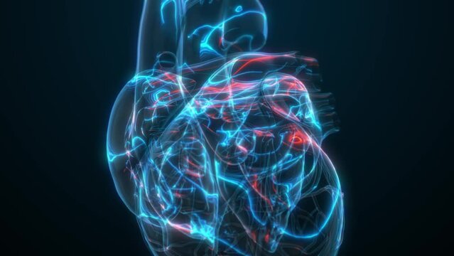 Heart disease screening symptoms chest pain, breathlessness, stress management