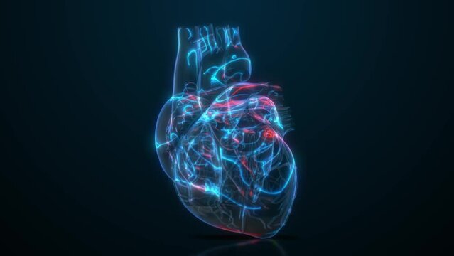Heart disease scan risk factors obesity, high blood pressure, diabetes