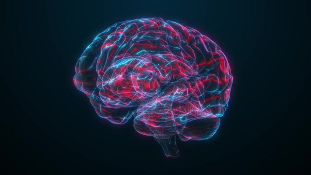 Brain scan detects blood clot, aneurysm, dementia to understand brain injuries