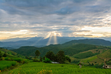 View of rice terrace at Ban Pa Bong Piang, Chiang Mai, Thailand