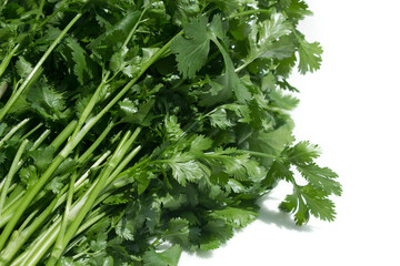 Coriander on a white background.
