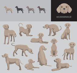 Dog Weimaraner Cartoon Vector Illustration Color Variation Set Brown Coat