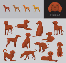 Dog Vizsla Cartoon Vector Illustration Color Variation Set Red Coat