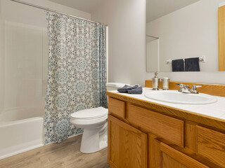 Fototapeta na wymiar Modern residential staged bathroom interior