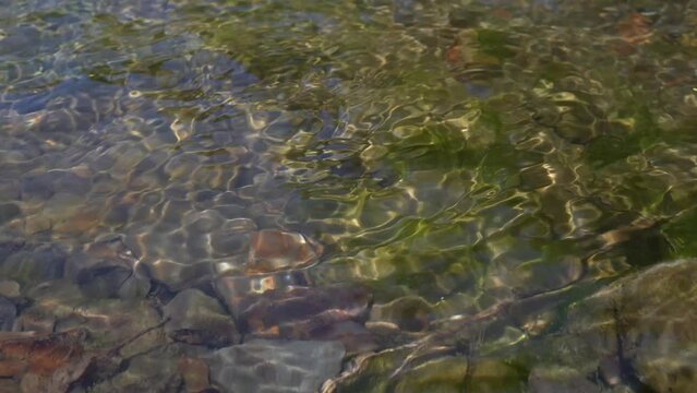 清流　小川　夏