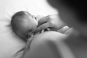 A mother breastfeeding her newborn baby. Infants drinking milk.