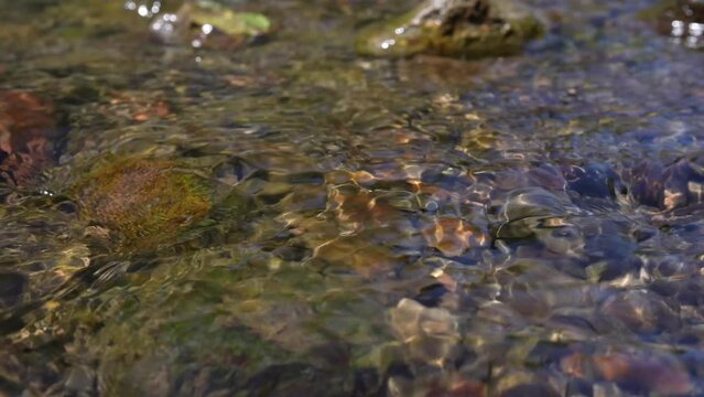 清流　小川　夏