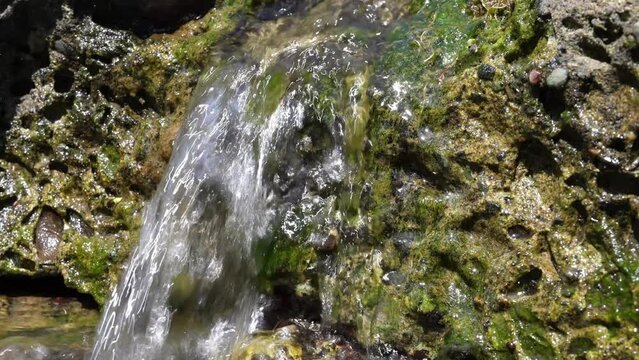 清流　小川　夏