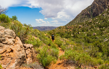 Female Hiker Below The Wilson Cliffs on The SMYC Trail, Red Rock Canyon National Conservation Area, Nevada, USA