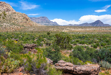 Giant Boulders From The Wilson Cliffs Along The SMYC Trail, Red Rock Canyon National Conservation Area, Nevada, USA