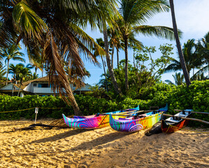 Monk Seal Sleeping Next To Outrigger Canoes on Poipu Beach., Koloa, Kauai, Hawaii, USA