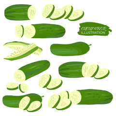 Fresh Organic Cucumber Illustration Set