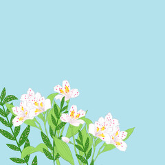 Illustrated flowers for background, celebrations, spring and more