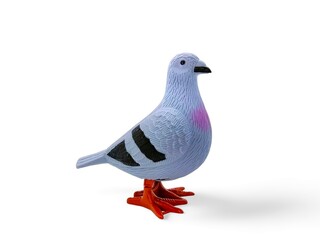Animal miniature gray dove on white background