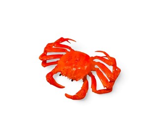 Crab miniature red color animal on white background