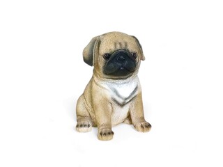 Miniature pug puppy animal on white background