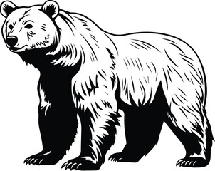 Isolated Grizzly Bear Logo Monochrome Design Style