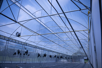 Greenhouse metal structure. Inside view of a commercial greenhouse covered with polyethylene film. Place for planting vegetables and seedlings with copy space. selective focus