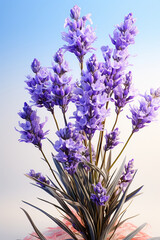 Naklejka premium close up lavandula angustifolia on white background. AI Generated