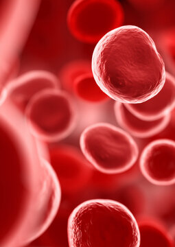 Red Blood Cells in 3D Rendering
